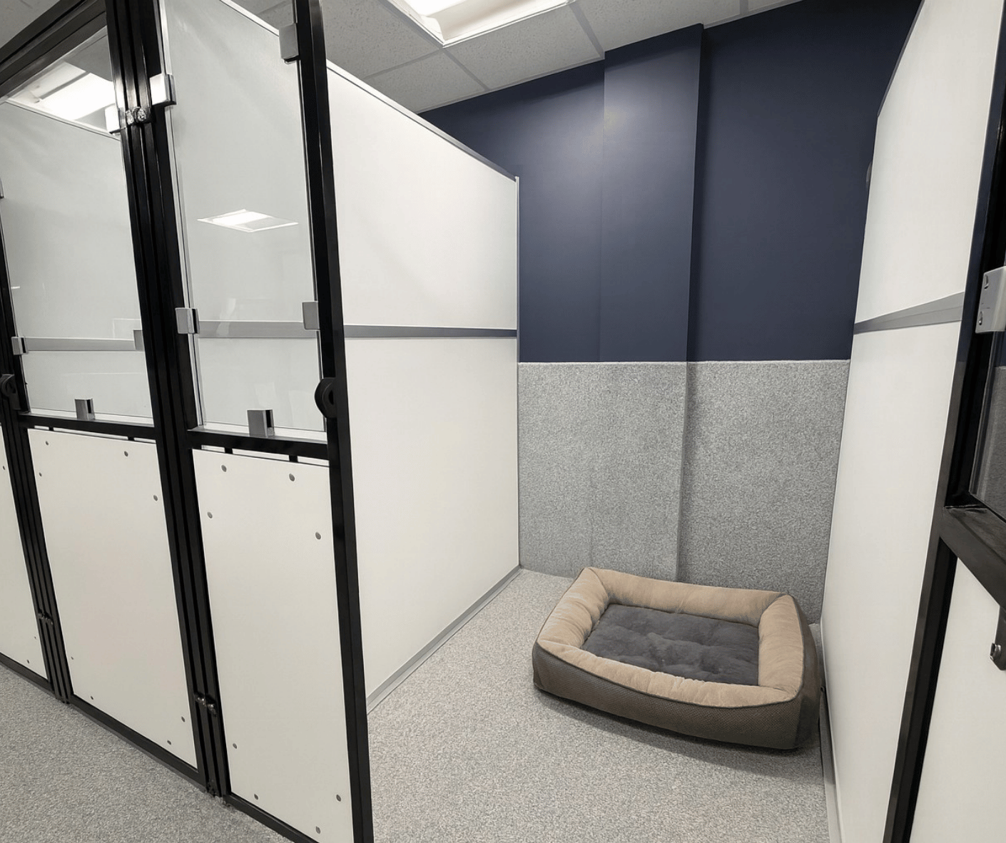 Full size custom wire kennel in a boarding hotel for dogs