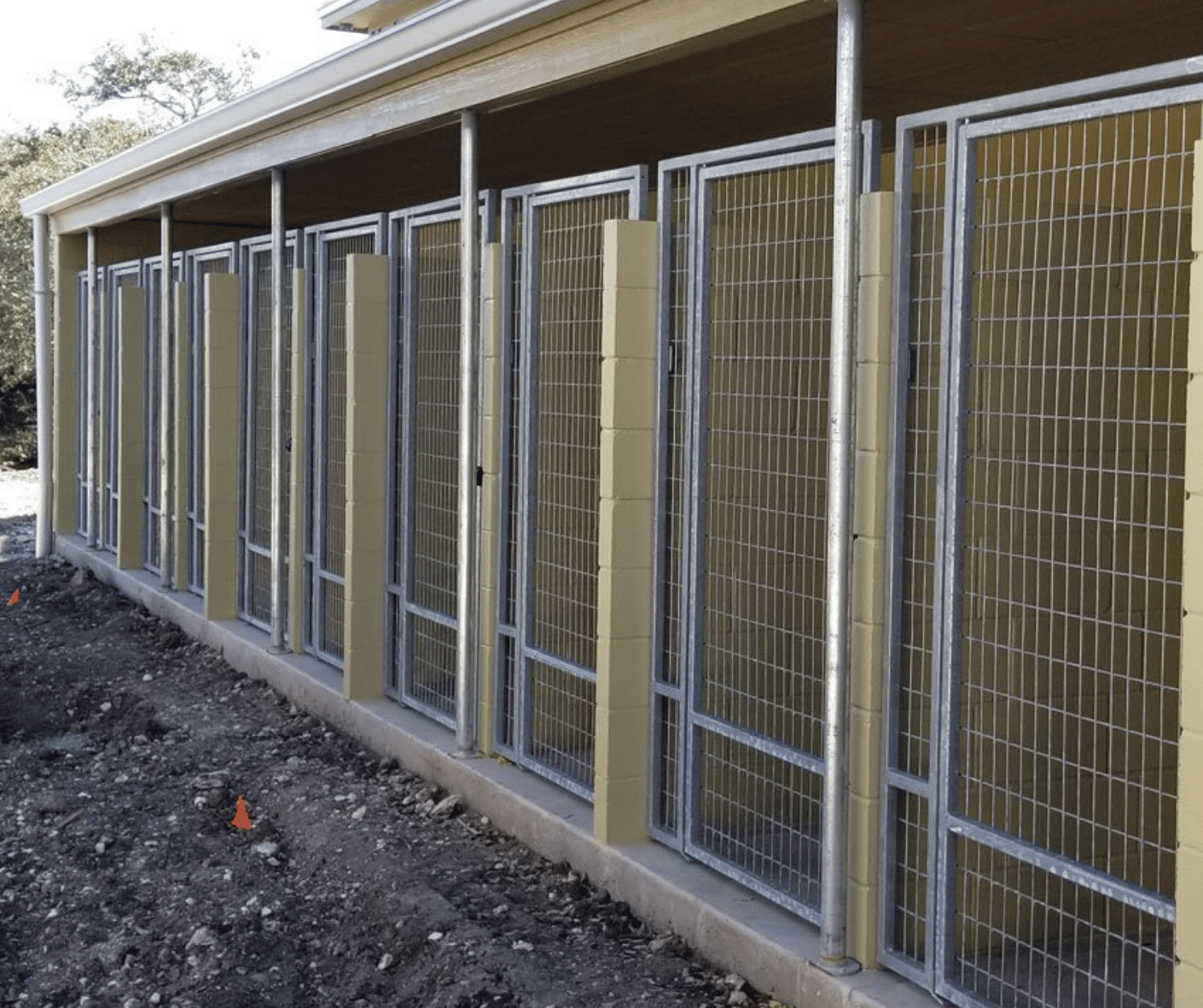 Outdoor covered full size custom kennels