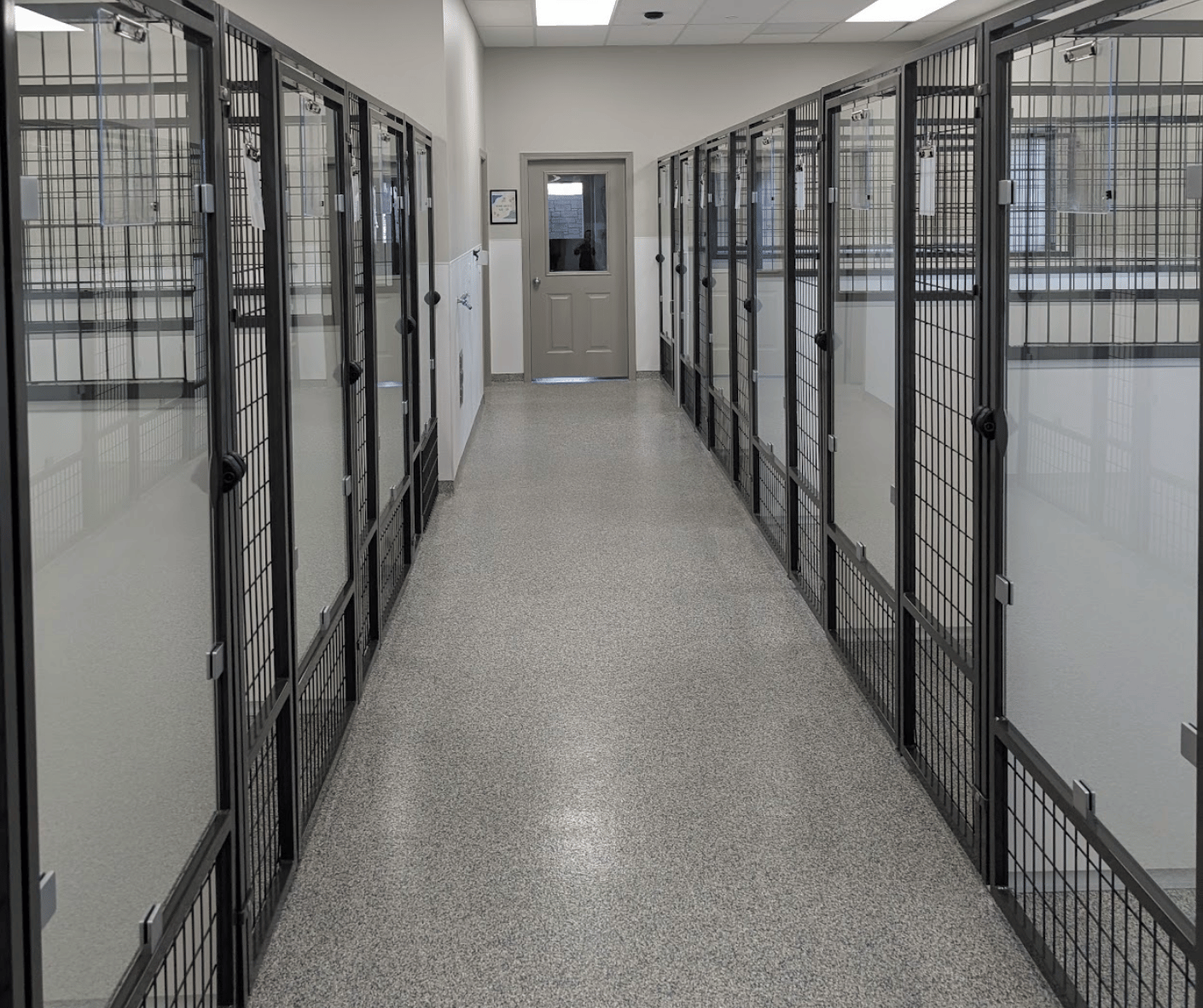 row of custom fabricated kennels in with glass doors in adoption center for animals