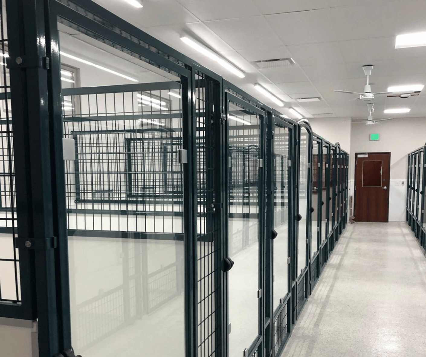 Tempered Glass_Black Doors